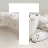 brand-image