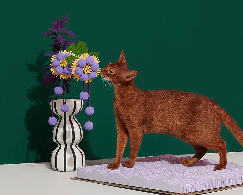 푸르르(PURRRE) - 감도 깊은 취향 셀렉트샵 29CM