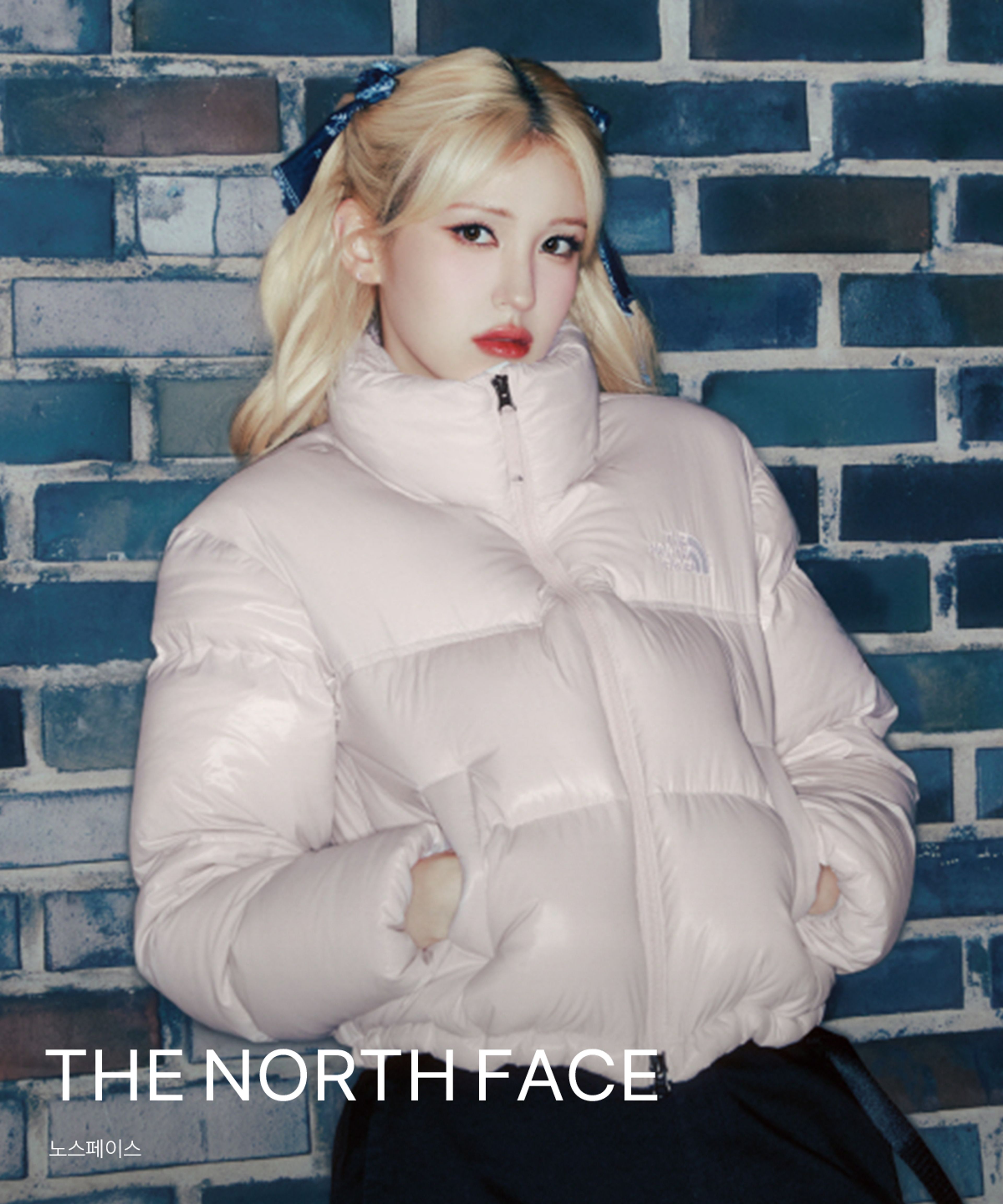 THE NORTH FACE