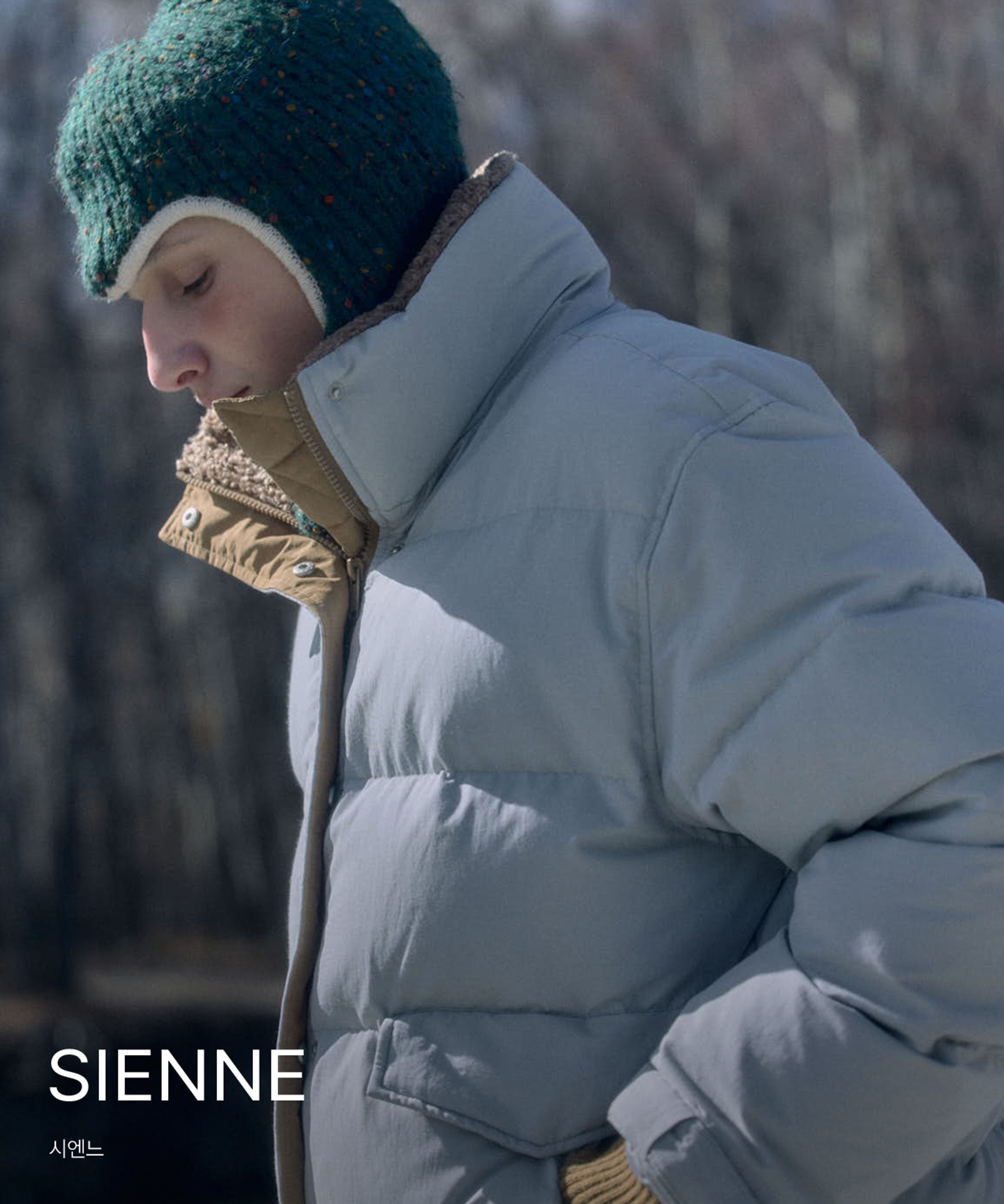 SIENNE