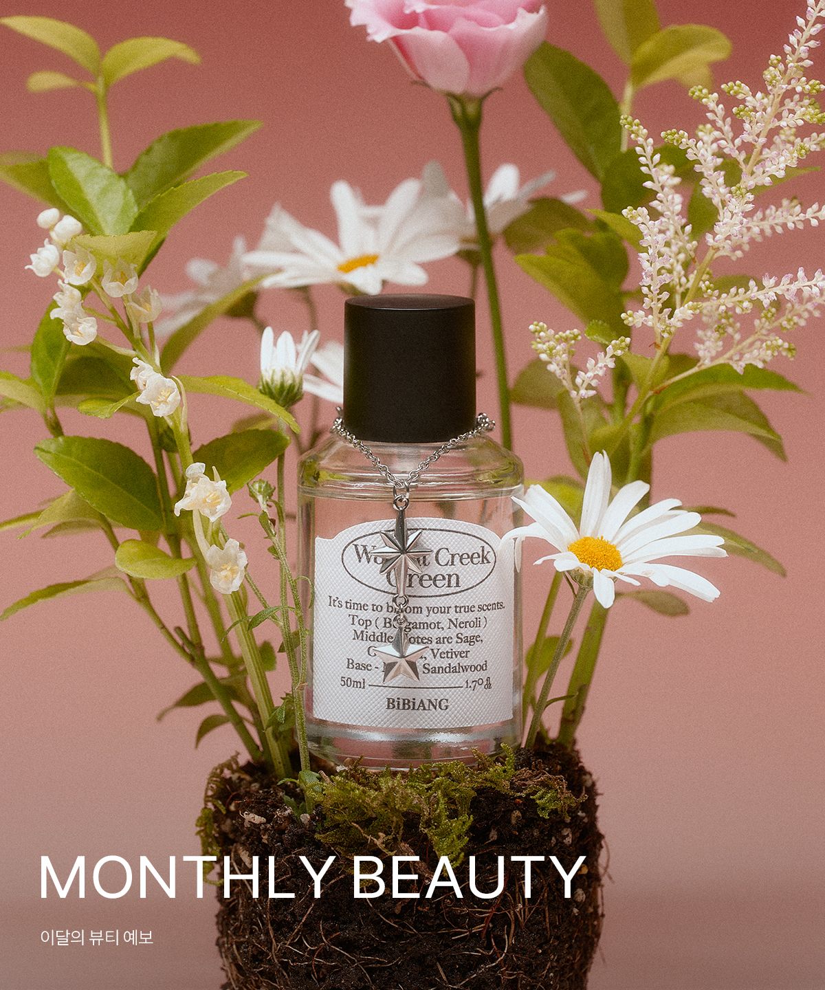 MONTHLY BEAUTY