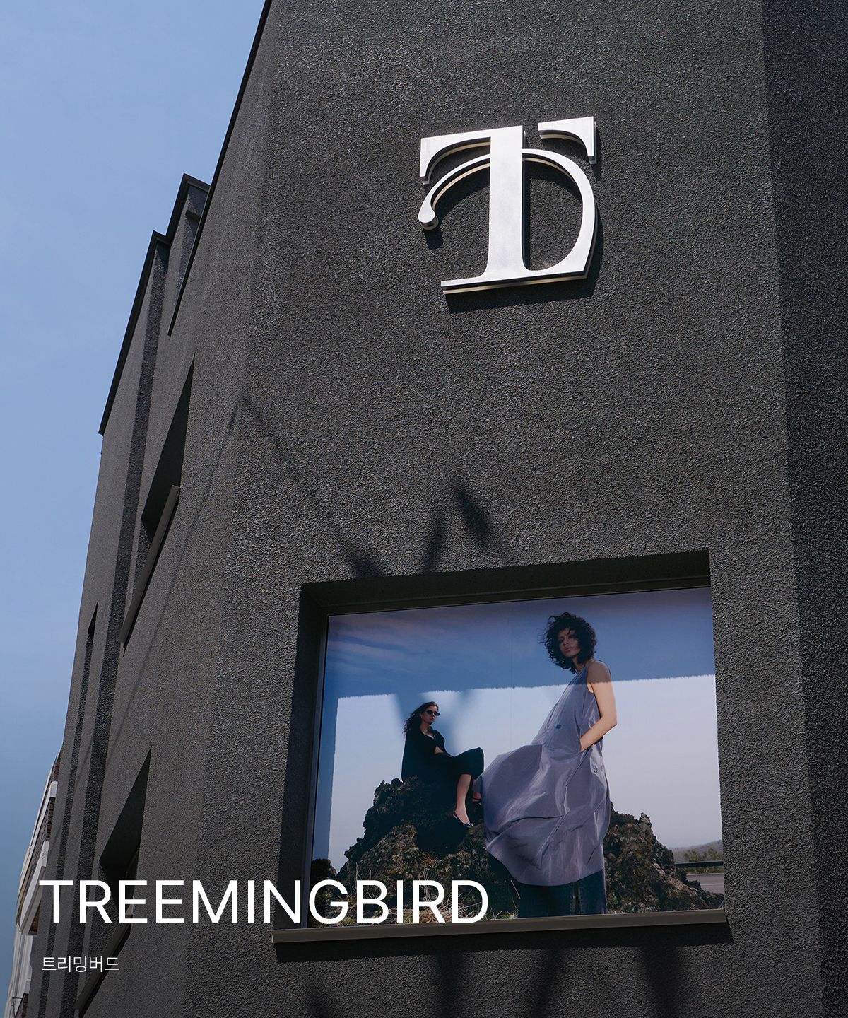 TREEMINGBIRD