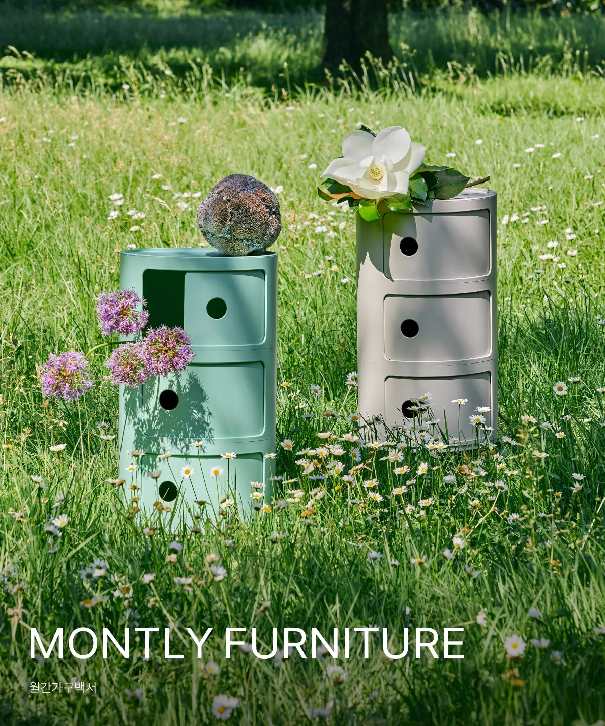 MONTLY FURNITURE