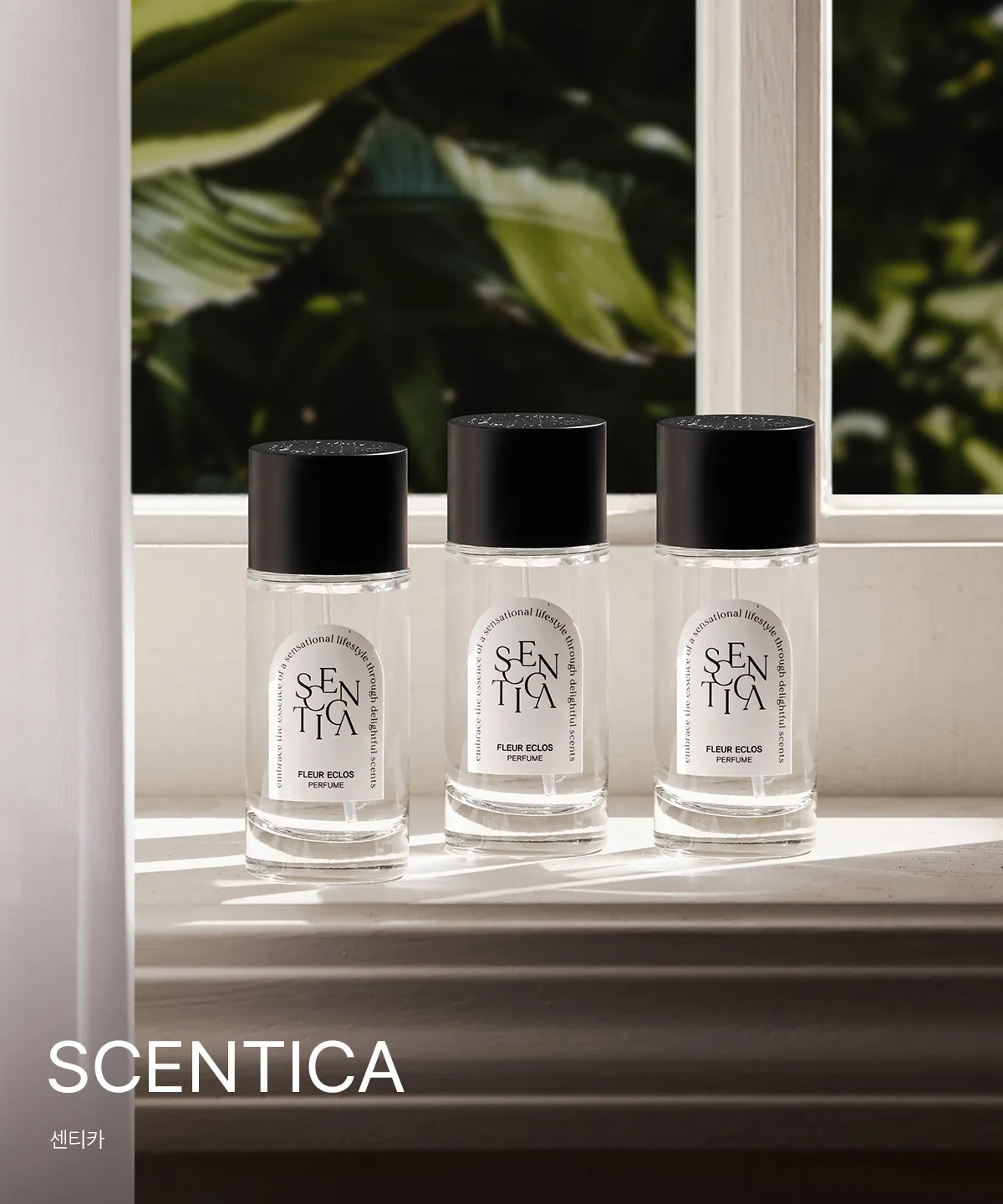 SCENTICA