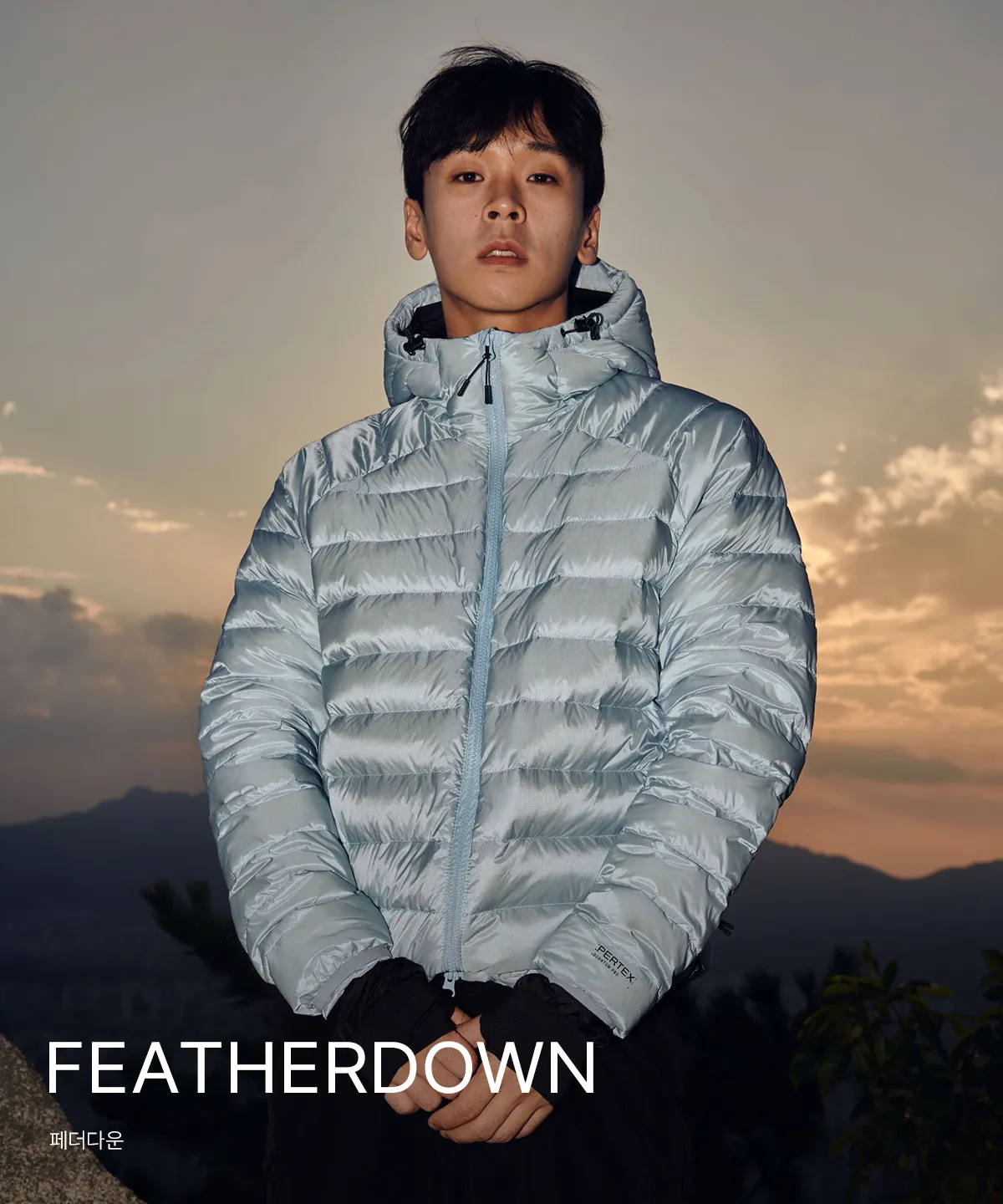 FEATHERDOWN