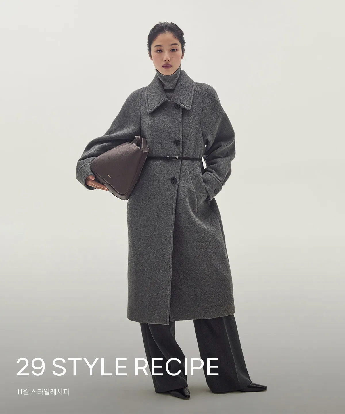 29 style recipe