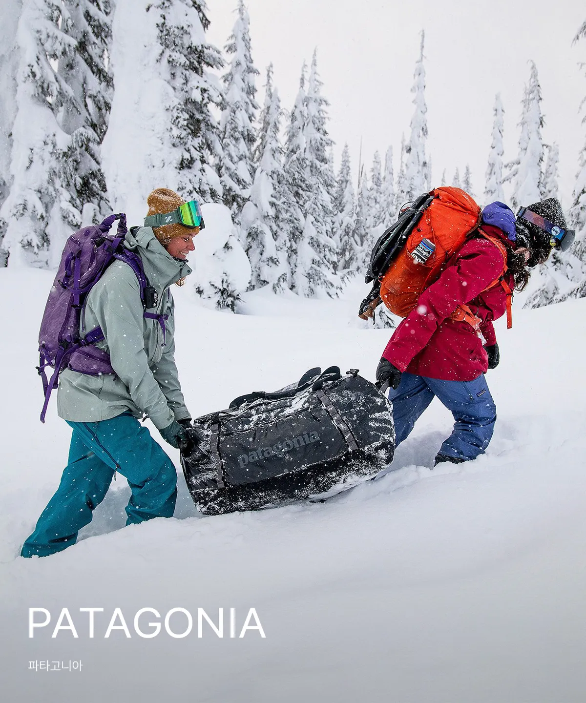 PATAGONIA