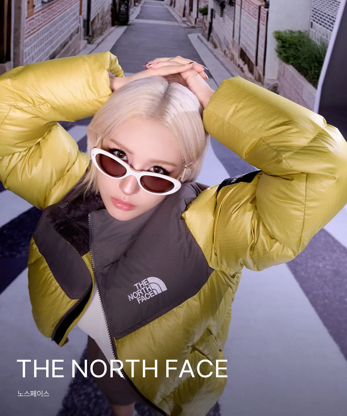 THE NORTH FACE