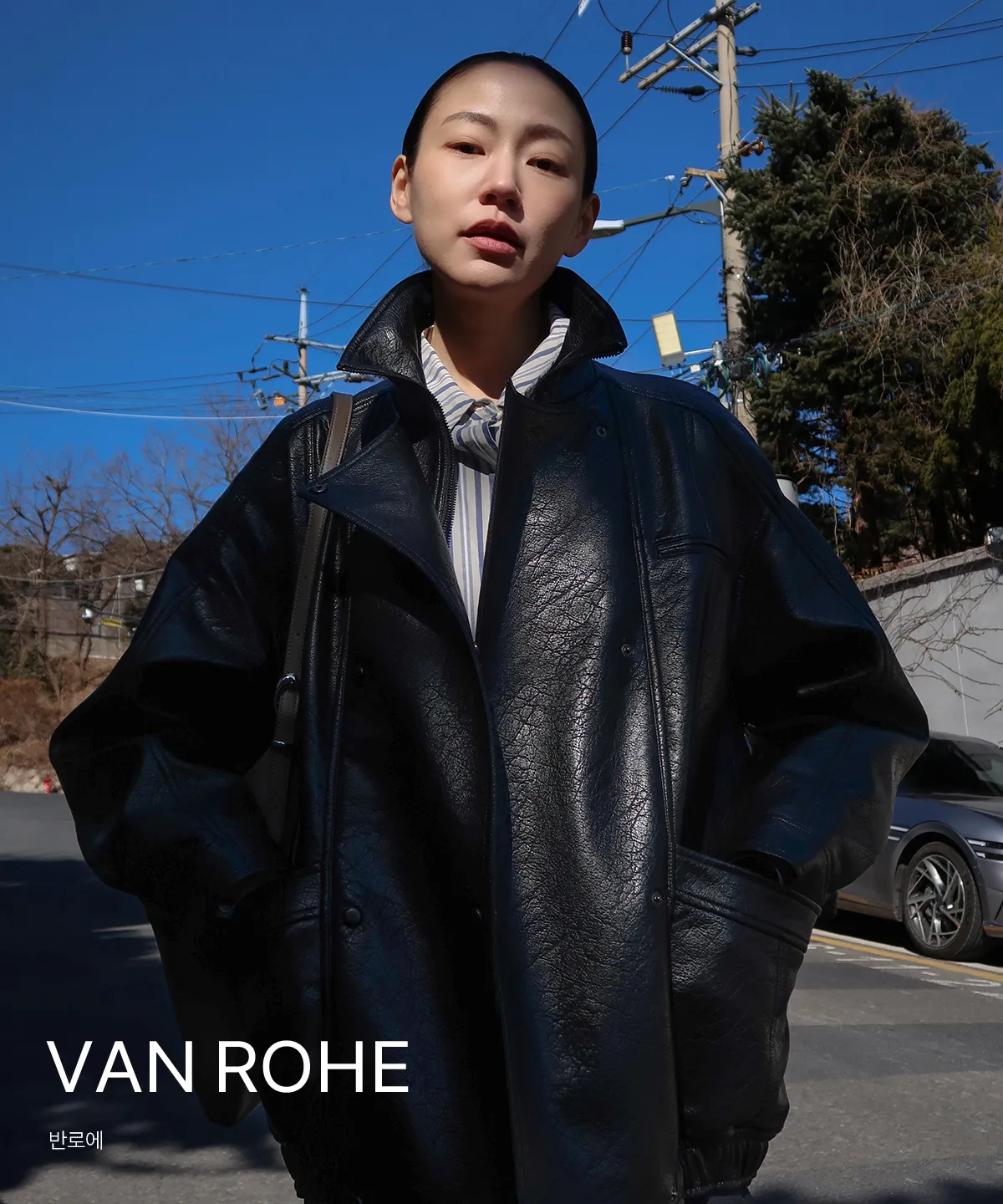 VAN ROHE