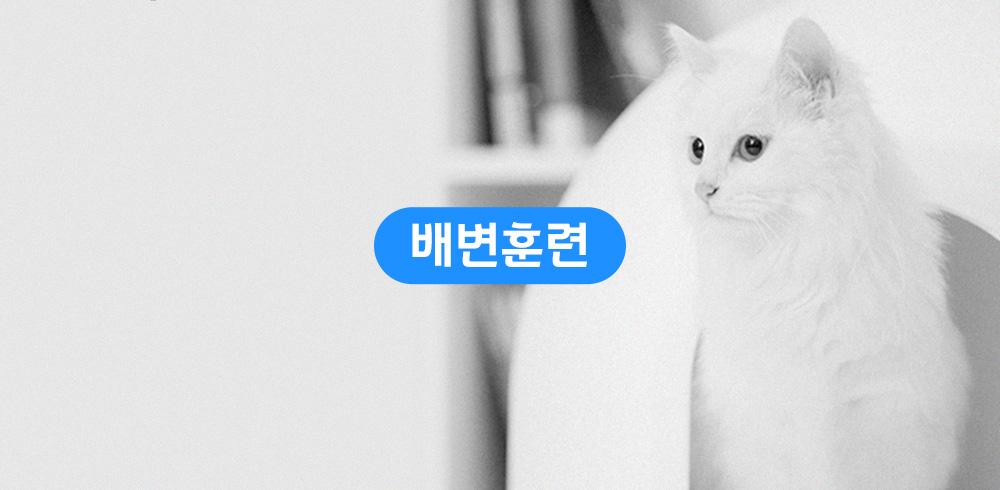 고양이와 친해지는 법 - 감도 깊은 취향 셀렉트샵 29Cm