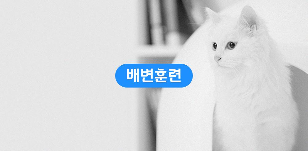 고양이와 친해지는 법 - 감도 깊은 취향 셀렉트샵 29CM 고양이와 친해지는 법 - 감도 깊은 취향 셀렉트샵 29Cm
