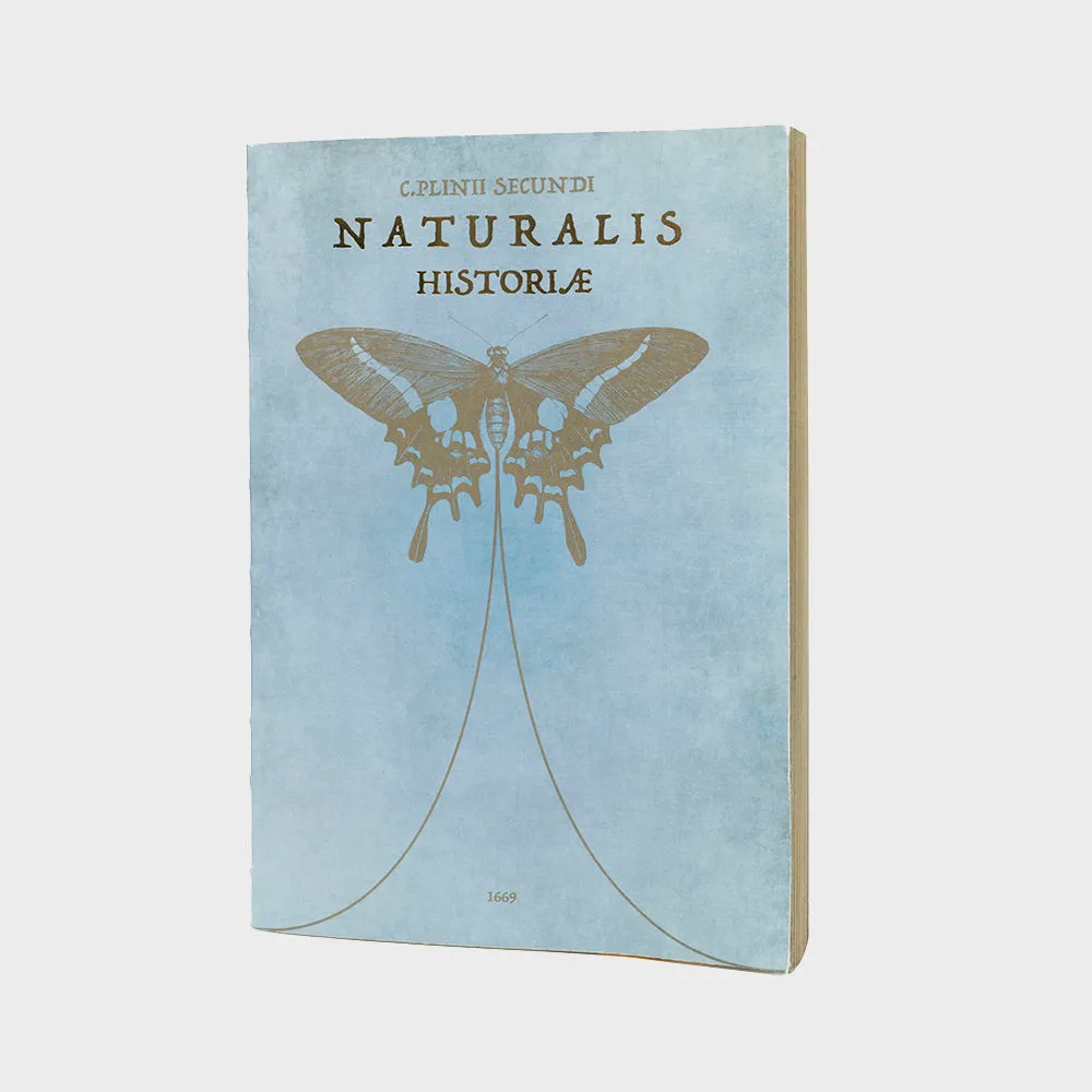 Pliny the Elder (플리니 디 엘더)