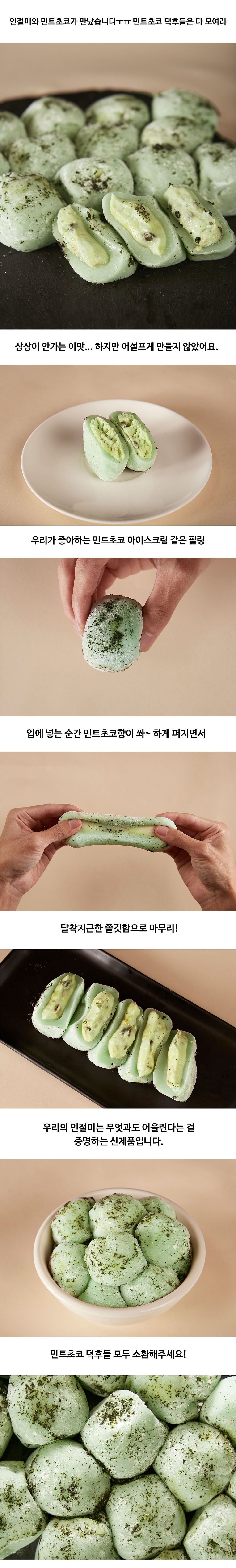 민트초코 인절미 550G - 감도 깊은 취향 셀렉트샵 29Cm