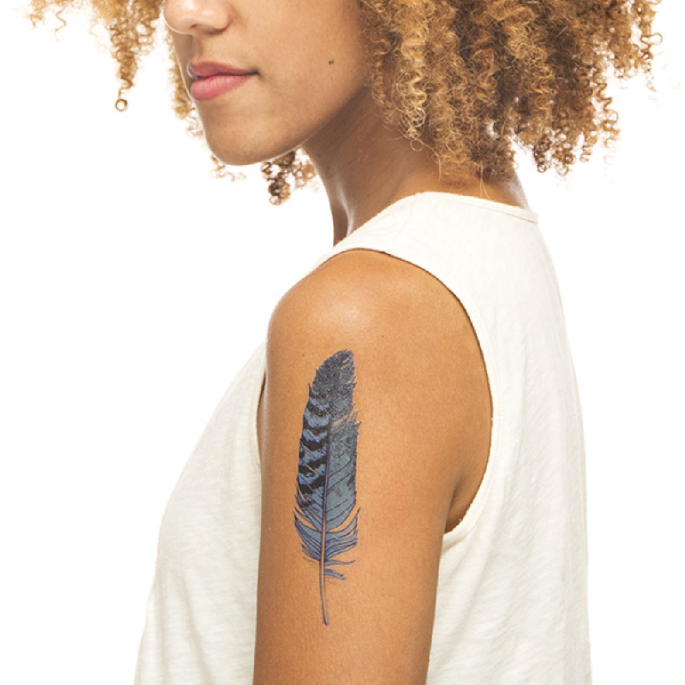 Discover more than 70 blue jay feather tattoo latest  thtantai2