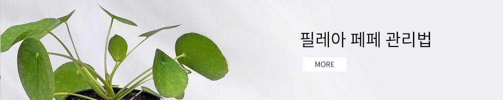 http://petplant.co.kr/board/board.html?code=needsad_image4&page=1&type=v&board_cate=&num1=999959&num2=00000&number=37&lock=Nhttp://petplant.co.kr/board/board.html?code=needsad_image4&page=1&type=v&board_cate=&num1=999959&num2=00000&number=37&lock=N