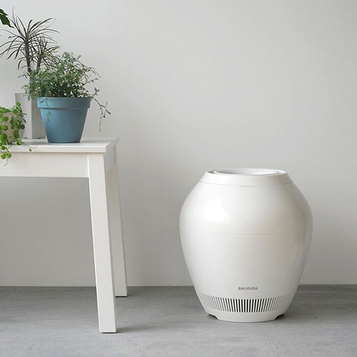 Balmuda natural evaporation humidifier