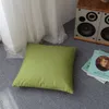 올리브