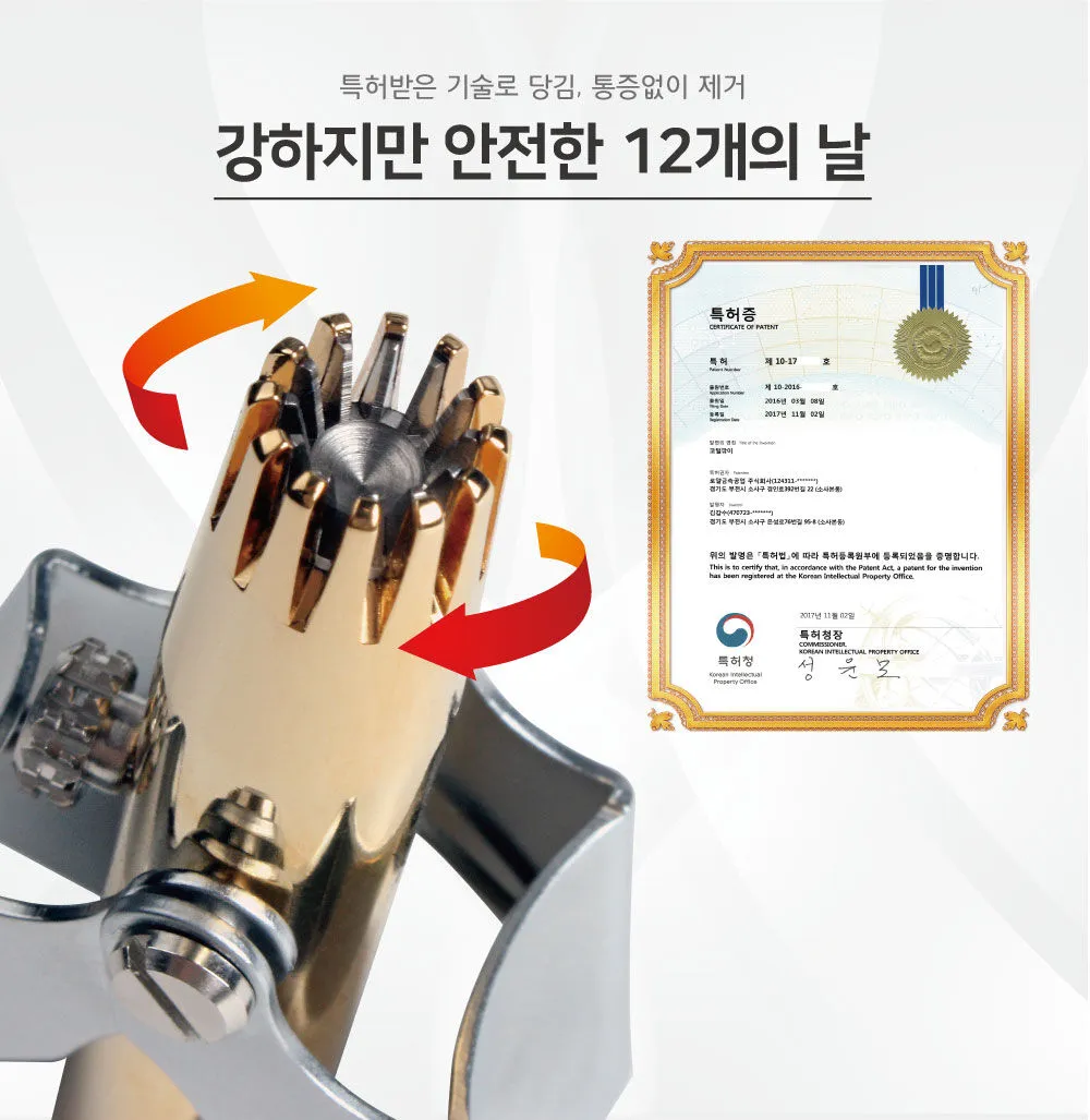 강하지만 안전한 12개의 날