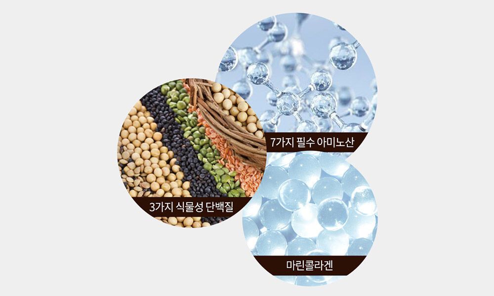 SPECIAL ADVANTAGE 02. 모발 복구의 핵심 고농축 단백질과 콜라겐 공급