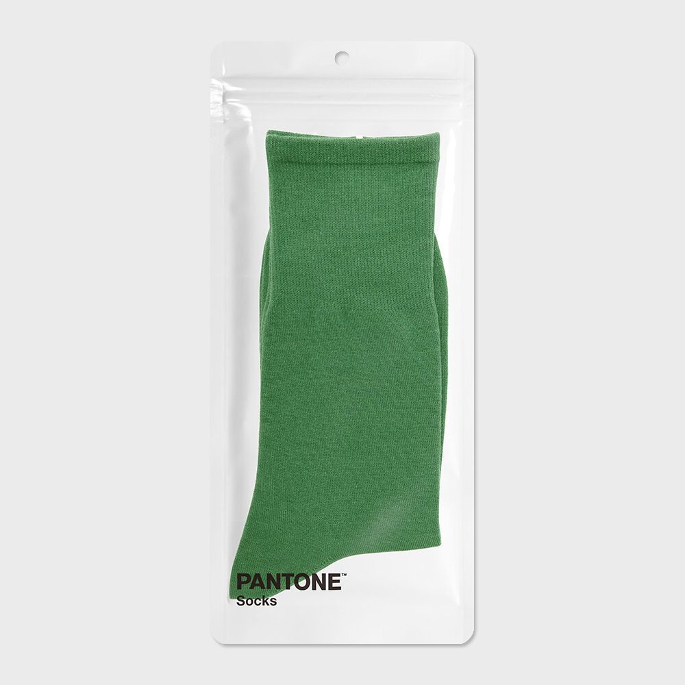 [단종 예정] 팬톤 삭스 임프 그린 Imp Green 단색 컬러 장목 양말 - 감도 깊은 취향 셀렉트샵 29CM