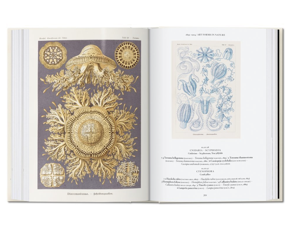 [TASCHEN] The Art and Science of Ernst Haeckel. 40th Ed. - 감도 깊은 취향 ...