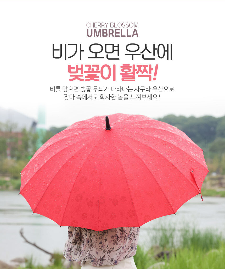 비가 오면 꽃이 피는 24k 벚꽃 자동장우산 상세 이미지 2