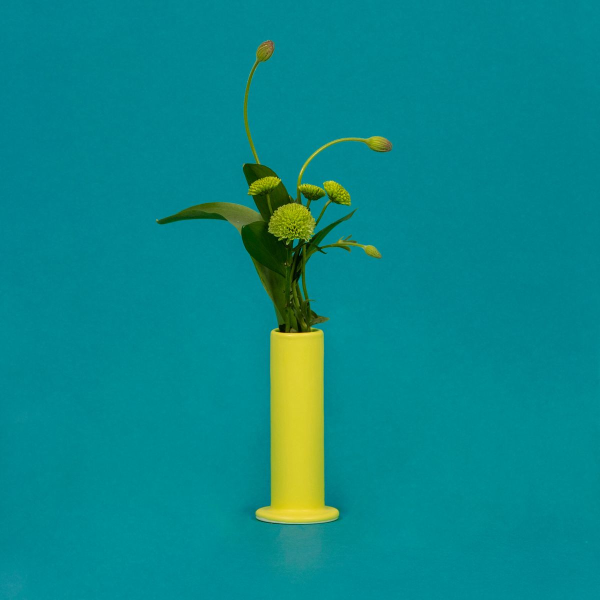 Lovely Nail Lime 감도 깊은 취향 셀렉트샵 29CM