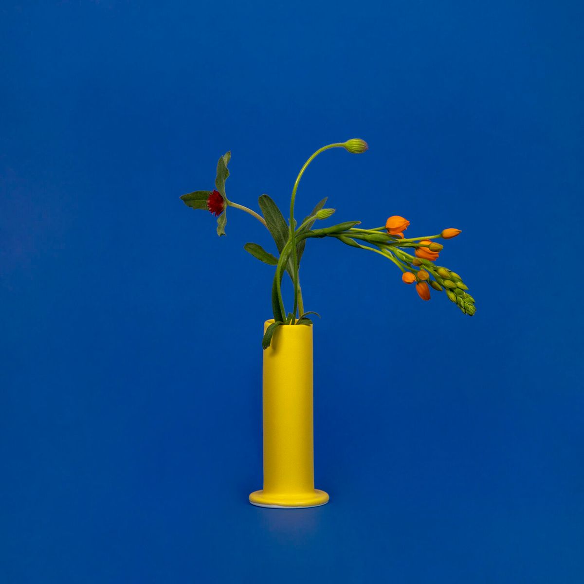 Lovely Nail Yellow 감도 깊은 취향 셀렉트샵 29CM