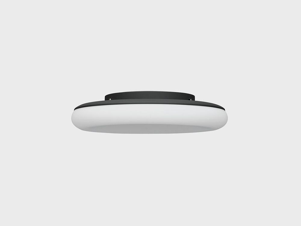 Mozzi Wall Lamp (Large, Charcoal Black)