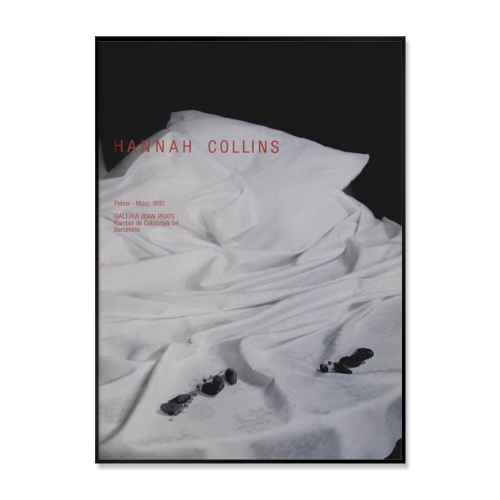 한나 콜린스 Hannah Collins - Still life, 1992 (액자 포함)