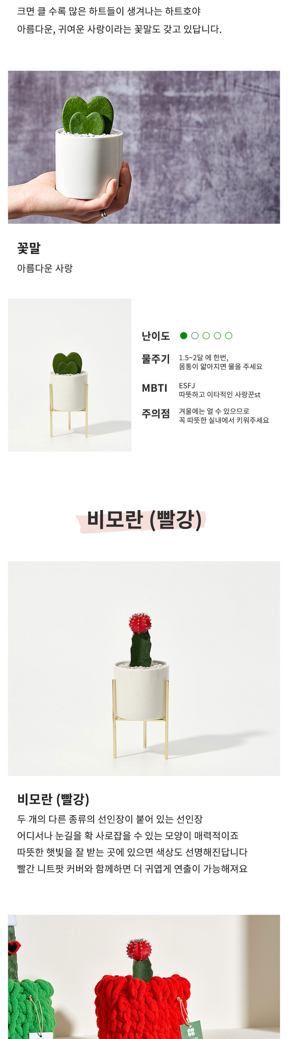 thumbnail-9