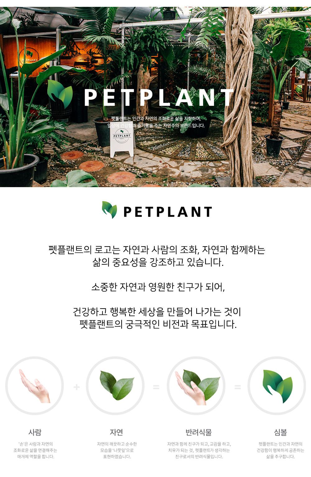 금전수 개업화분 돈나무 컬러받침 화분세트 - 감도 깊은 취향 셀렉트샵 29CM 금전수 개업화분 돈나무 컬러받침 화분세트 - 감도 깊은 취향 셀렉트샵 29Cm