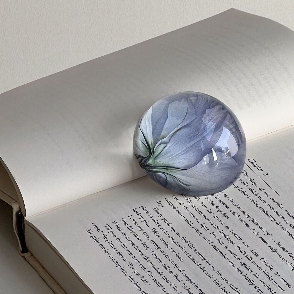 Siciliano Paperweight 문진 오브제 - 감도 깊은 취향 셀렉트샵 29CM