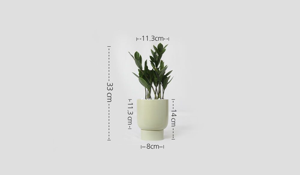 - 화분사이즈(입구x높이) : 11.3 x 11.3(cm)
- 받침지름 : 8cm
- 화분총높이(받침포함):14cm
- 총높이(화분+식물) : 33cm
[ 측정 방식에 따라서 1~2cm 차이가 있을 수 있습니다. ]



※식물의 크기 및 줄기 갯수는
생육환경에 따라 차이가 있을 수 있습니다.
사진과 다른 식물이 배송되더라도 양해 부탁드립니다.