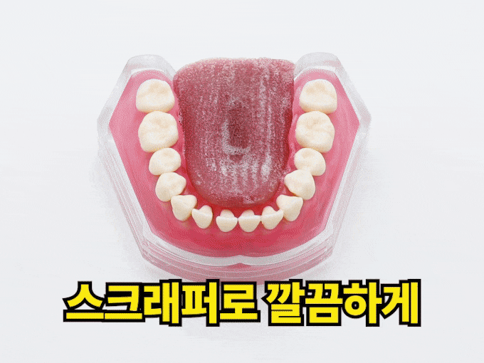 thumbnail-26