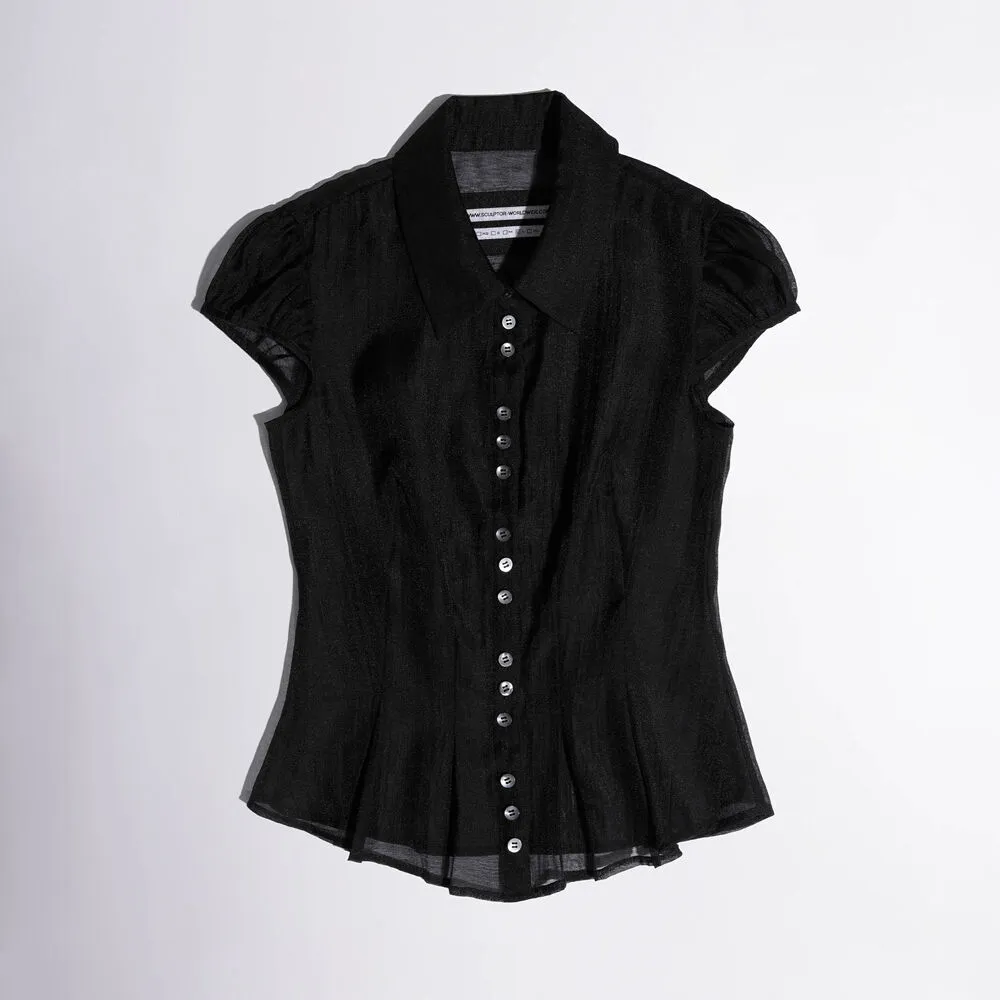 Sheer Pleated Hem Blouse Black