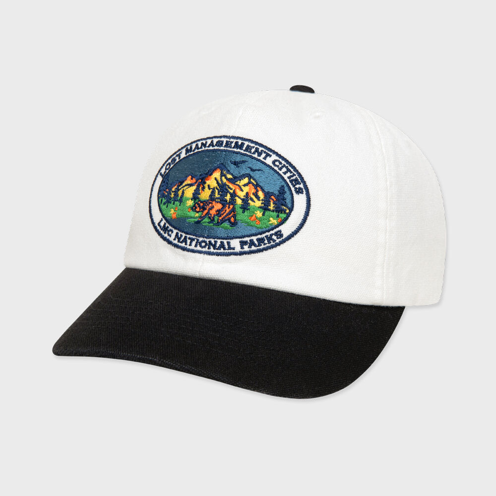 [ LMC ]★25SS★韓国人気★VTG COLOR BLOCK 6PANEL CAP 楽天市場】☆最大15％OFFクーポン！期間限定☆LMC（エルエムシー